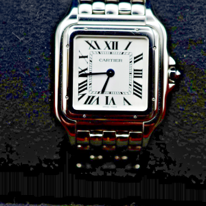 2024 Cartier Panthère de Cartier Large Steel WSPN0011 - Unisex Box & papers